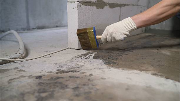 Top rated local Crawl Space Encapsulation specialists in Rock Island, TN